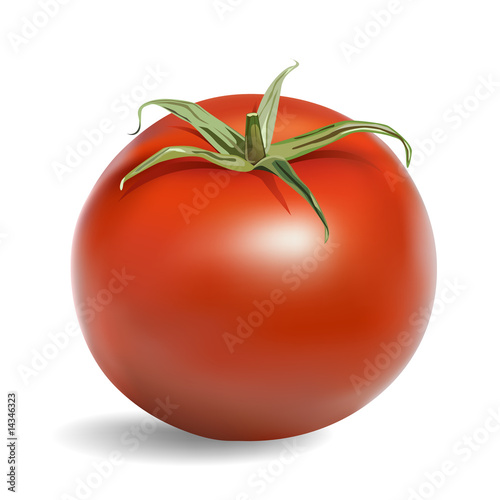 Tomato