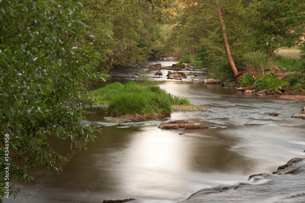 Obraz premium bach 6