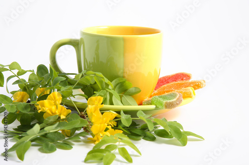 Flavovirent cup with a drink and a branch of a blossoming acacia