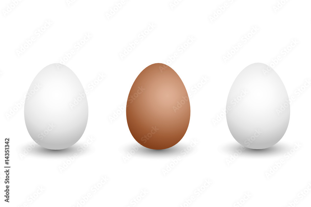 egg egg
