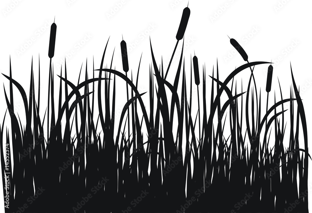 Grass vector silhouette - obrazy, fototapety, plakaty 