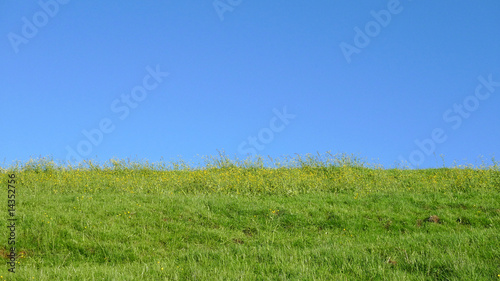 Tableau sur toile Wiese und Himmel