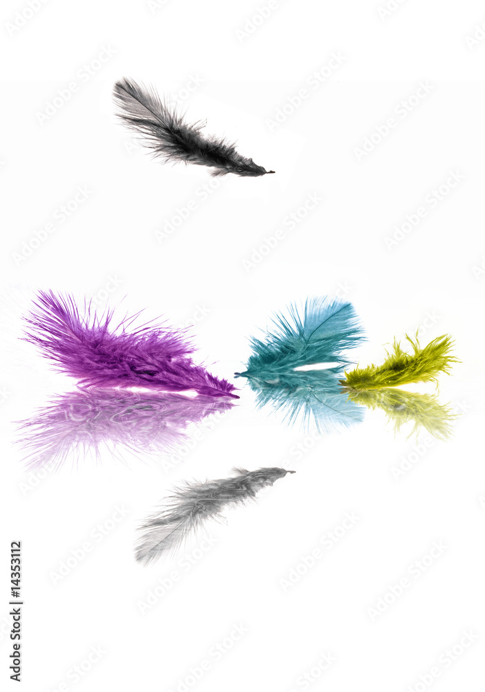 piuma cmyk piuma cmyk
