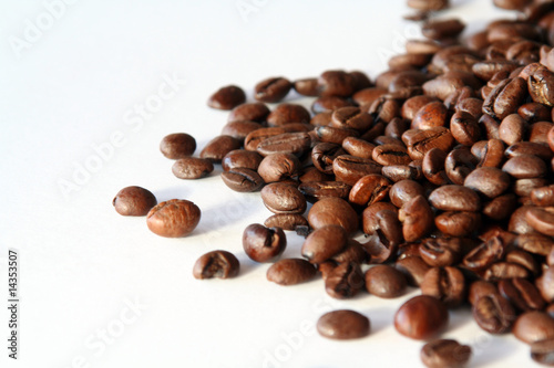 Espressobohnen ökologisch erzeugt