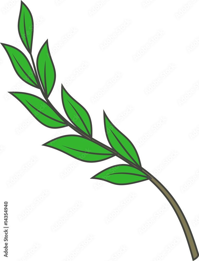 Fototapeta premium Olive branch