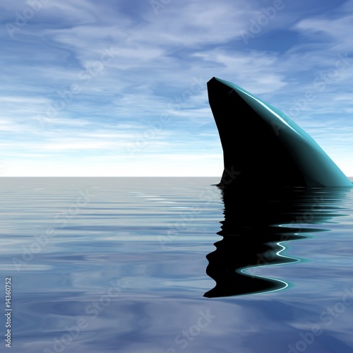 aileron de requin