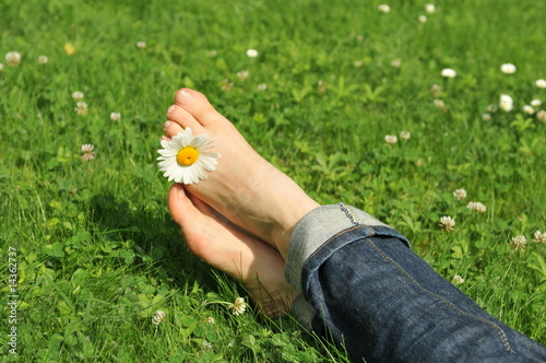 pieds dans l'herbe