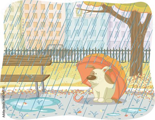 rainy day