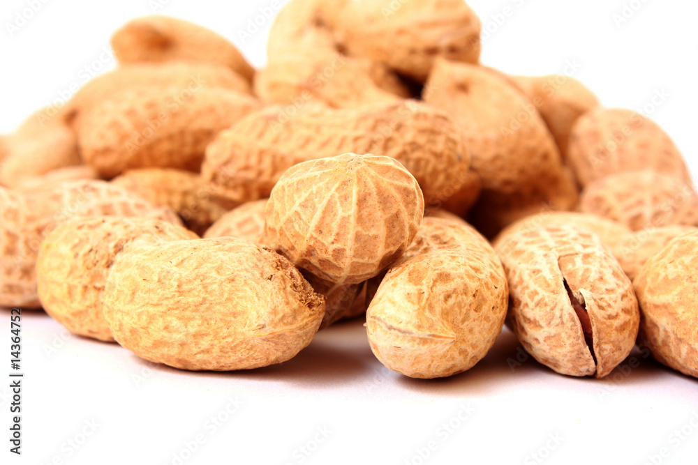 Many peanuts on white background Many peanuts on white background