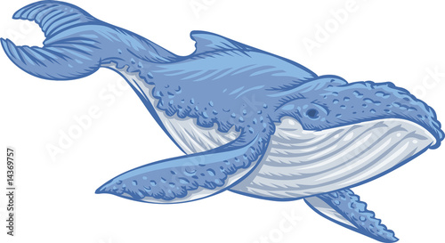 Blue whale