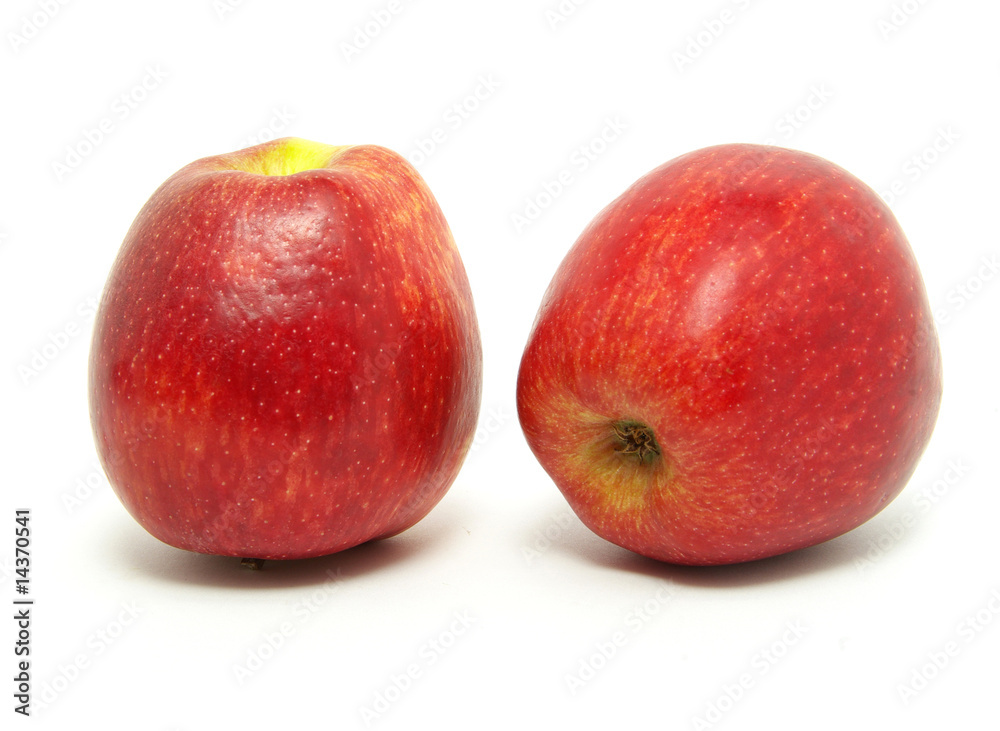 apples apples