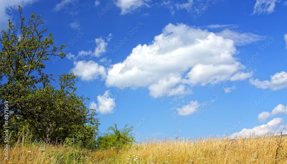 Fototapeta premium Hill under blue cloudy sky