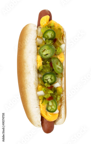 hot dog with the works