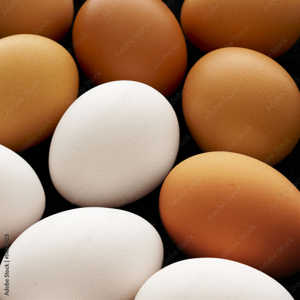 brown and white eggs brown and white eggs