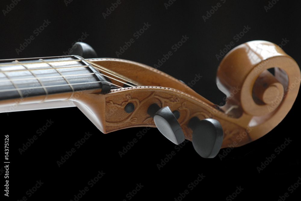 Fototapeta premium Manche de violon