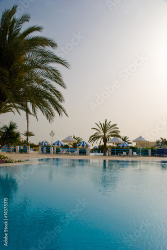 piscine et palmiers © cdrcom