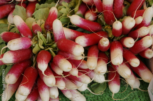 radis sur l'étal.
