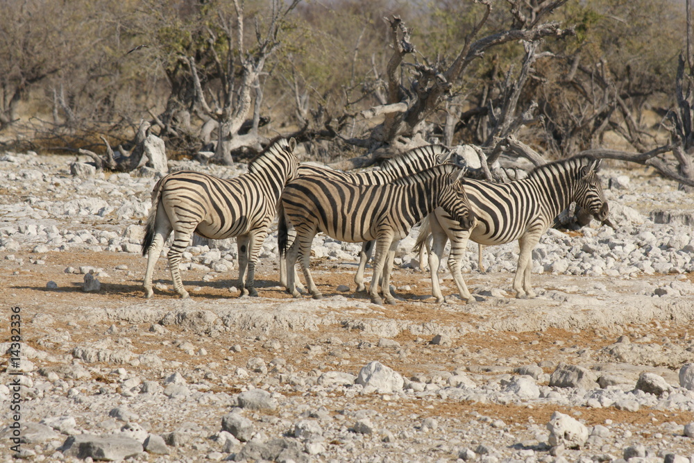 Obraz premium SONY DSC