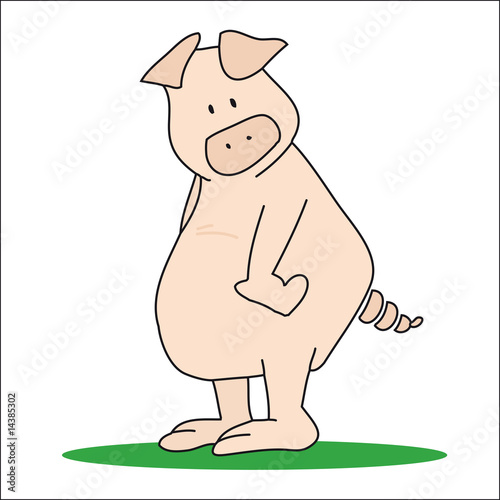 pig