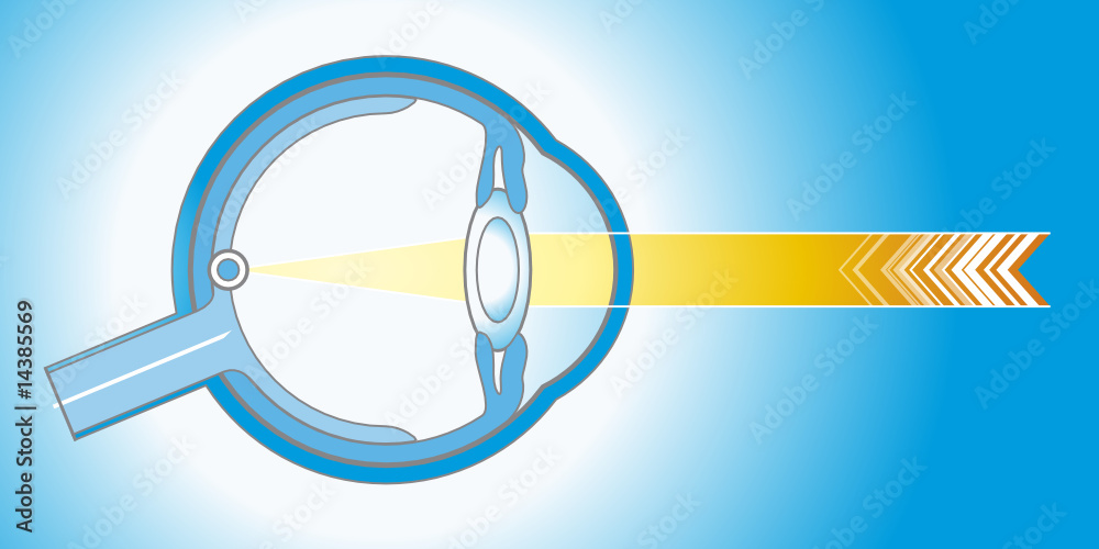 Auge Illustration