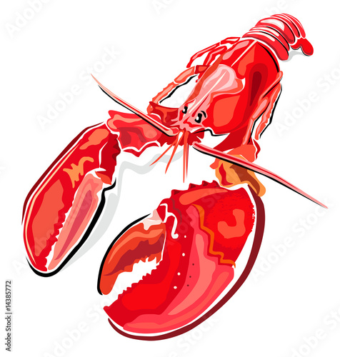 Lobster