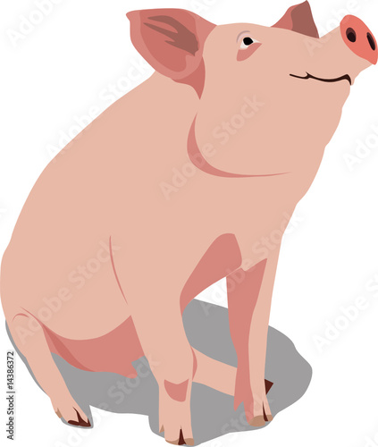 pig_hog
