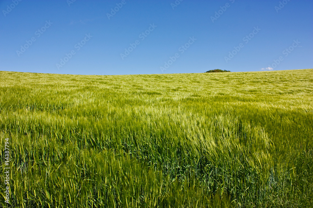 Steppe 1 Steppe 1