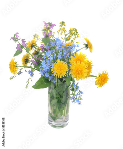 Bouquet of field flowers © SASHA