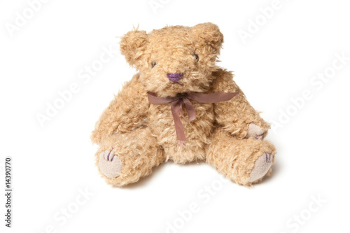 Teddy bear isolated on a white studio background.