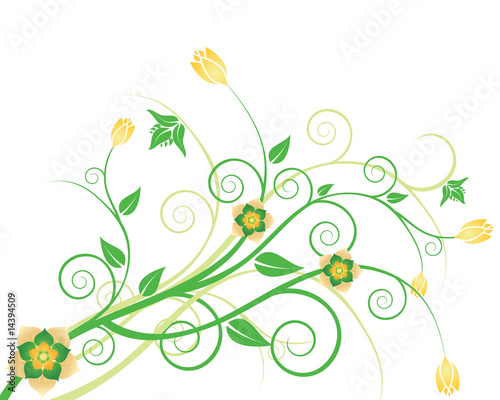 florale ranken und blüten