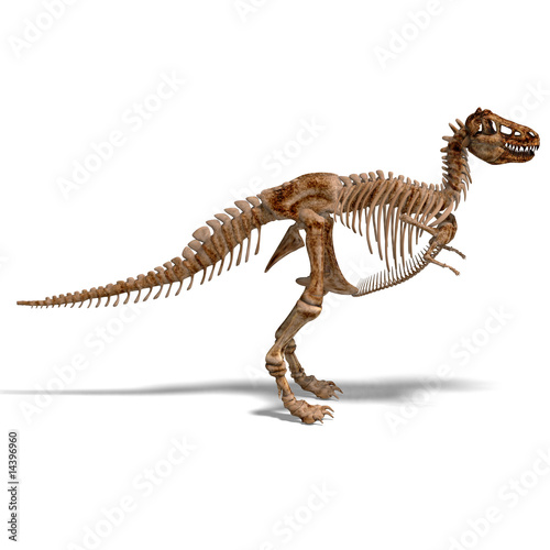 T-Rex Skeleton © Ralf Kraft