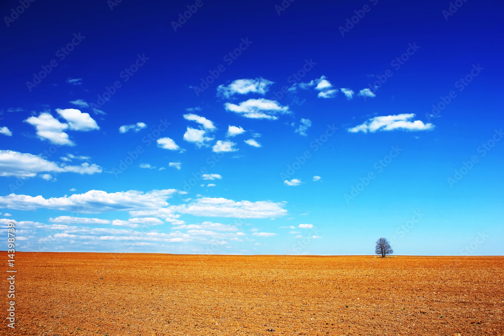 Fototapeta premium Land