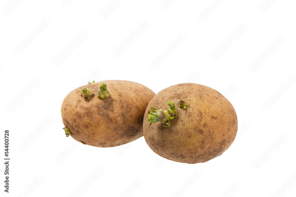 Potatoes