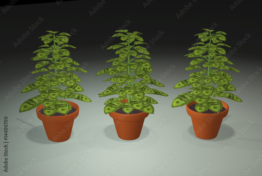 Money grows on trees Money grows on trees