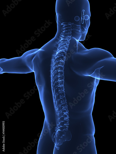 Human Spine x ray closeup