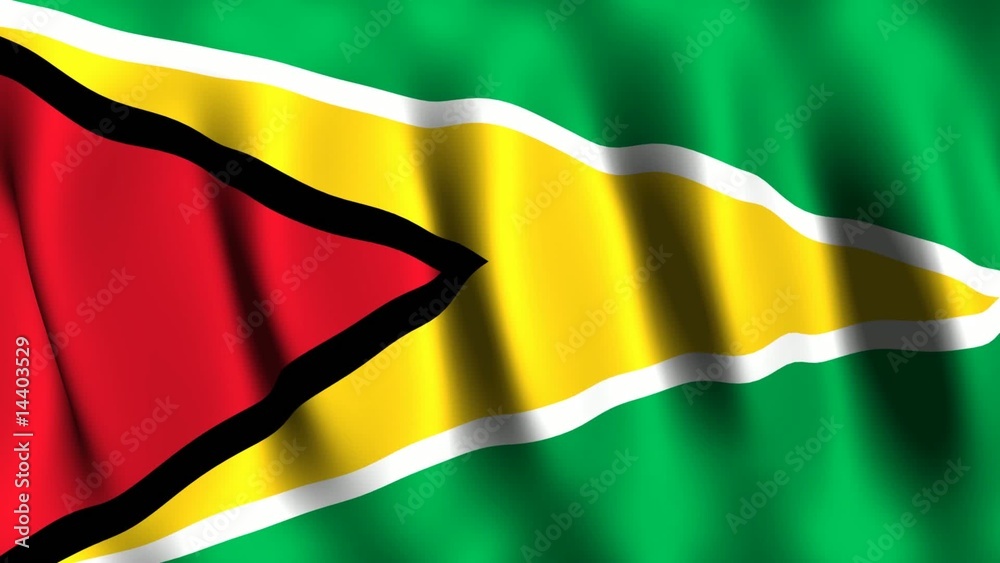 Guyana Flag Guyana Flag