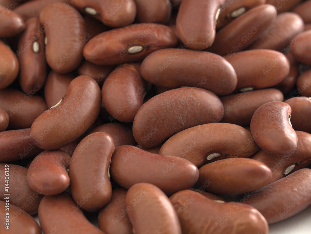 Red Kidney Beans Red Kidney Beans