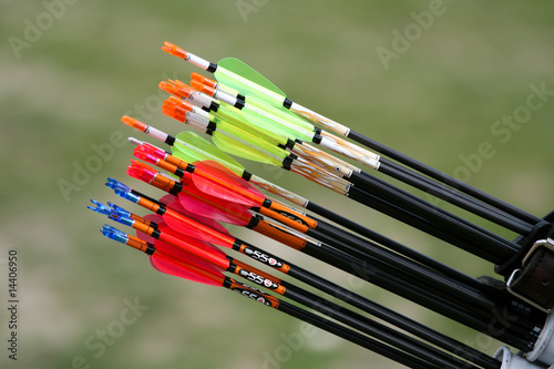 Target archery arrows in a quiver