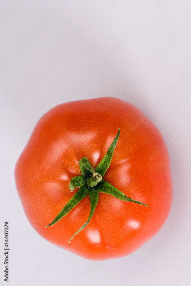 pomidor