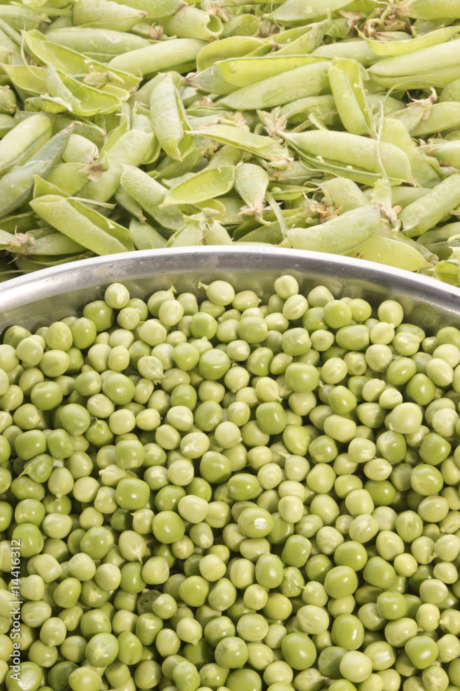 junge Erbsen direkt nach der Ernte geschaelt
