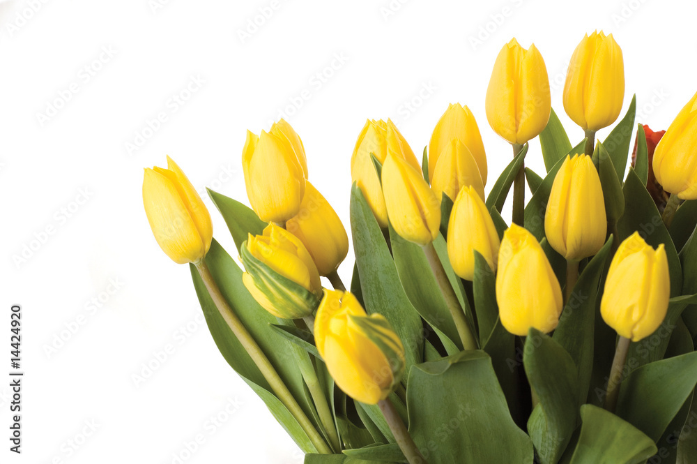 bunch of flowers bunch of flowers