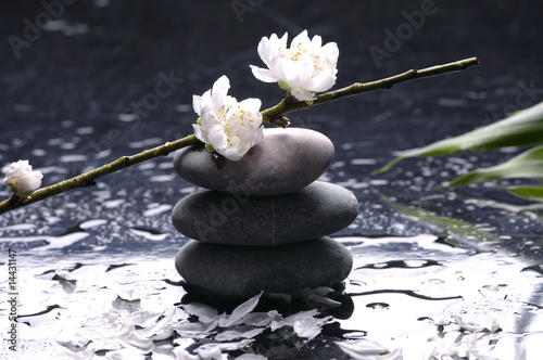 Black stones and flower, petal with green leaf
