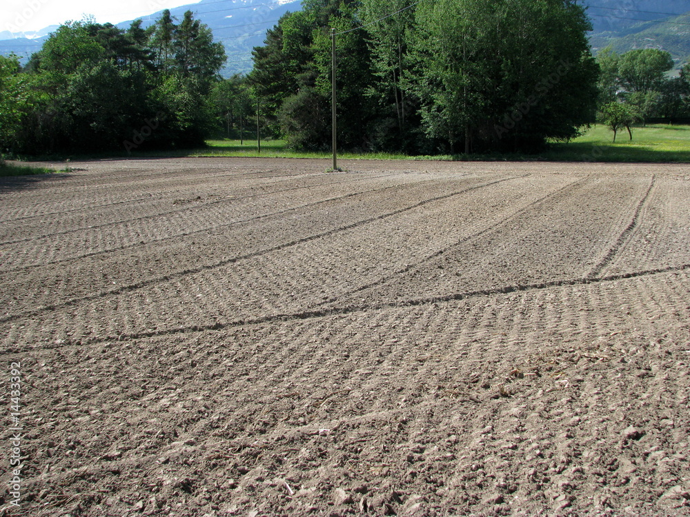 Agriculture. Agriculture.