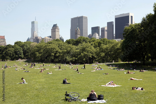 Obraz na płótnie Central Park - New York w salonie
