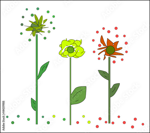 Fleurs