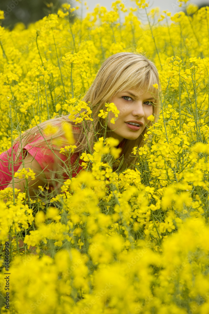 Fototapeta premium between yellow flowers