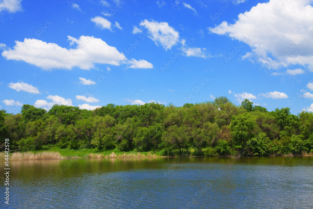 Fototapeta premium Summer riverside