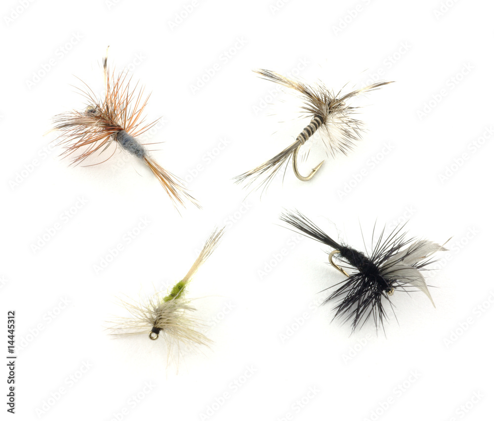 Four dry trout fishing flies