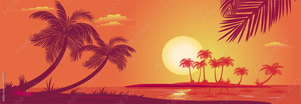 Sunset with palms at sea