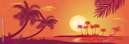 Fototapeta Naklejka Na Ścianę i Meble -  Sunset with palms at sea